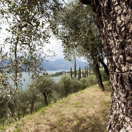 Residence Le Balze Malcesine Dış mekan fotoğraf